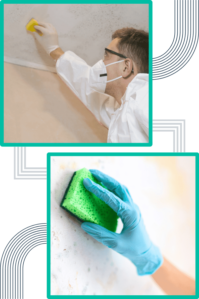 common-signs-of-mould-in-commercial-properties