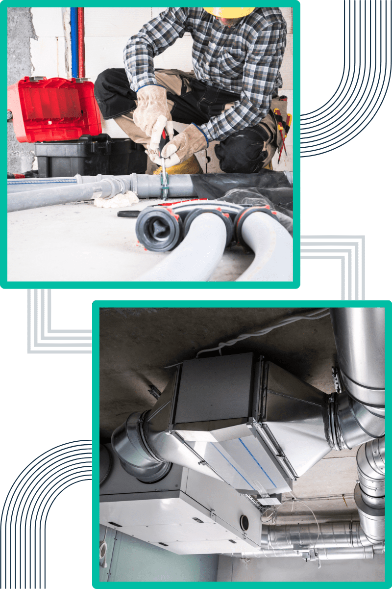 techniques-do-we-employ-for-effective-mould-remediation