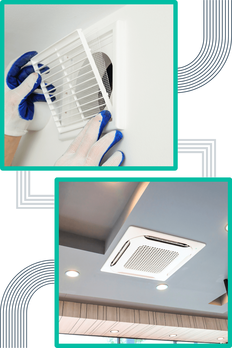 techniques-do-we-employ-for-effective-mould-remediation