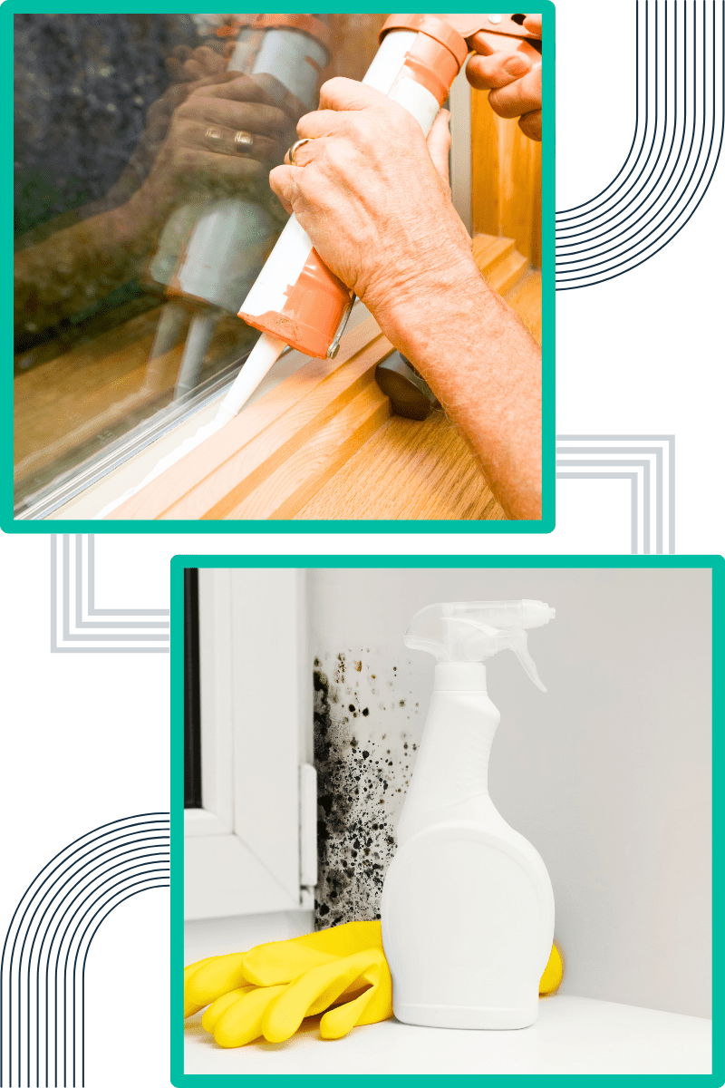 techniques-do-we-employ-for-effective-mould-remediation