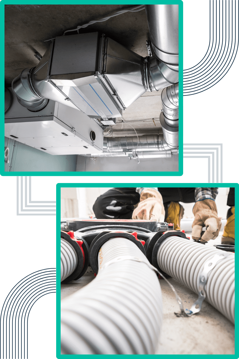 common-signs-of-mould-in-commercial-properties