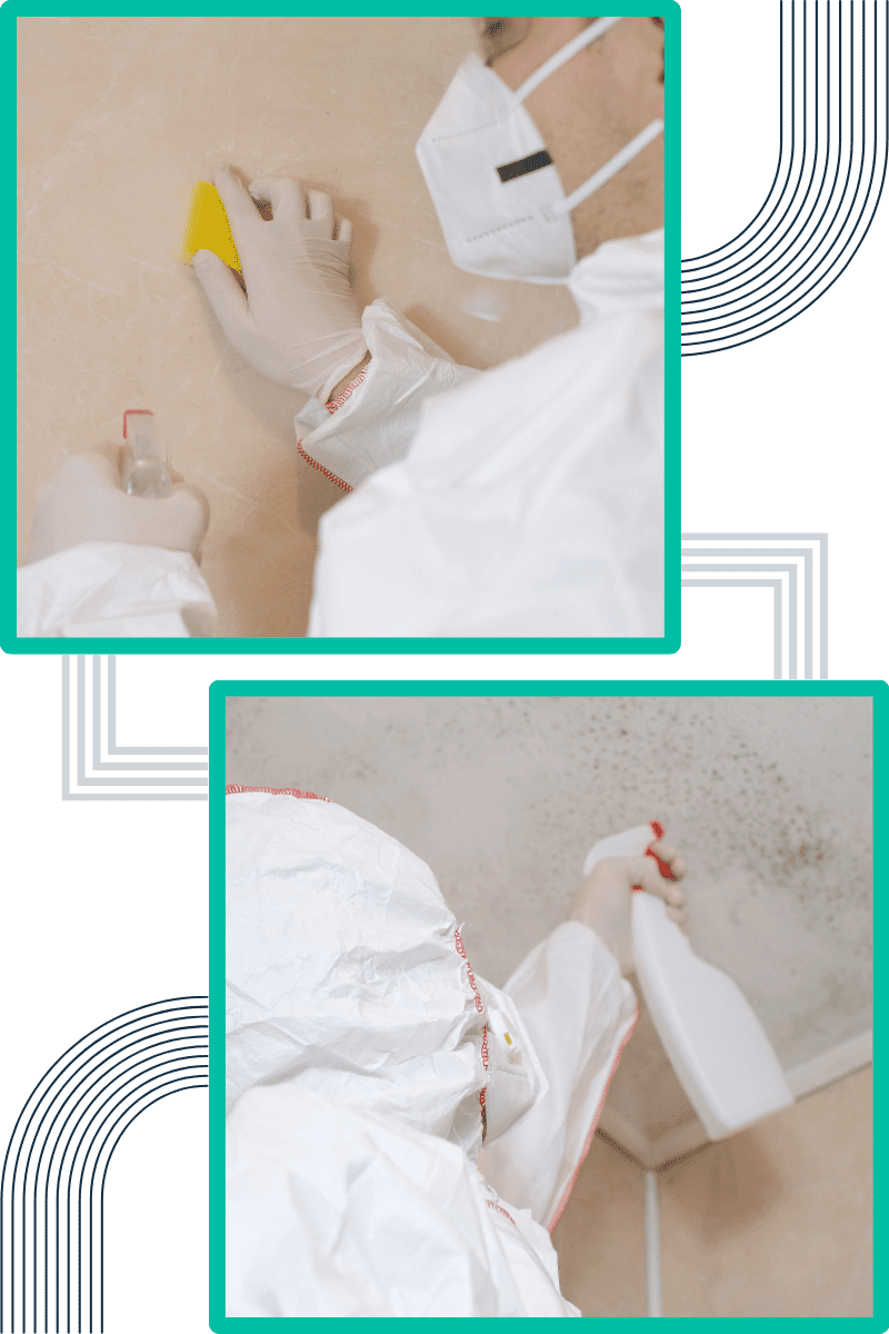 common-signs-of-mould-in-commercial-properties