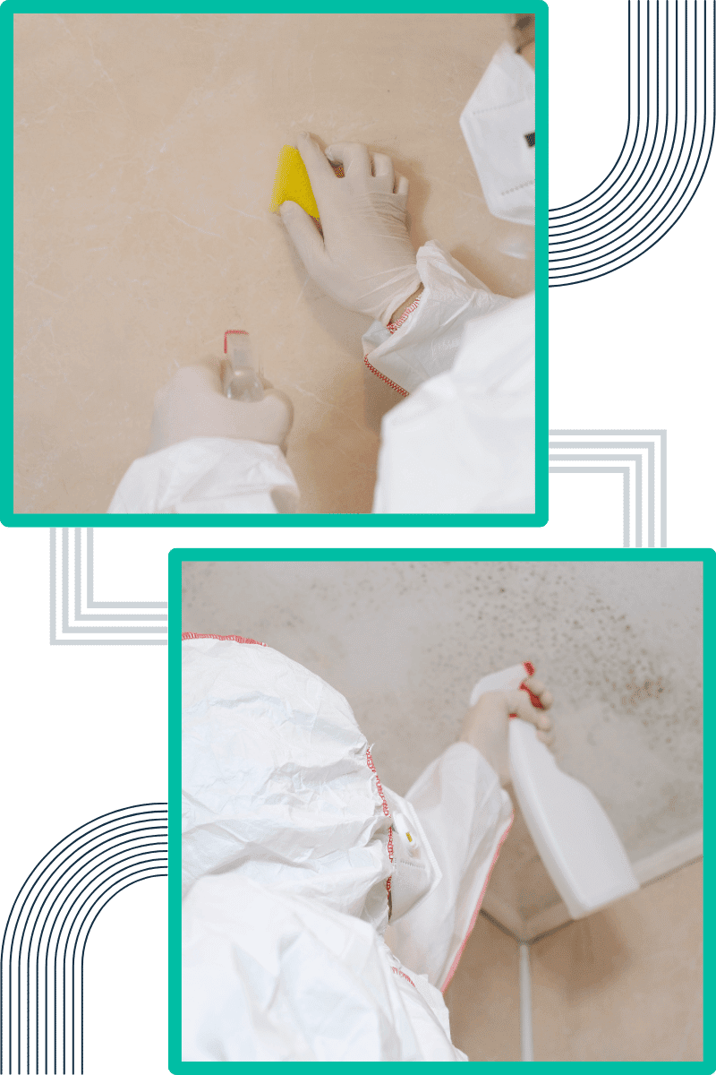 common-signs-of-mould-in-commercial-properties