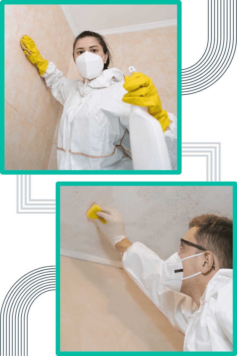techniques-do-we-employ-for-effective-mould-remediation