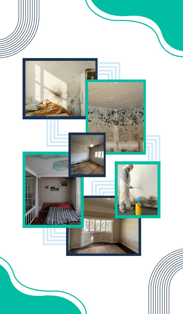 common-signs-of-mould-in-commercial-properties common-signs-of-mould-in-commercial-properties