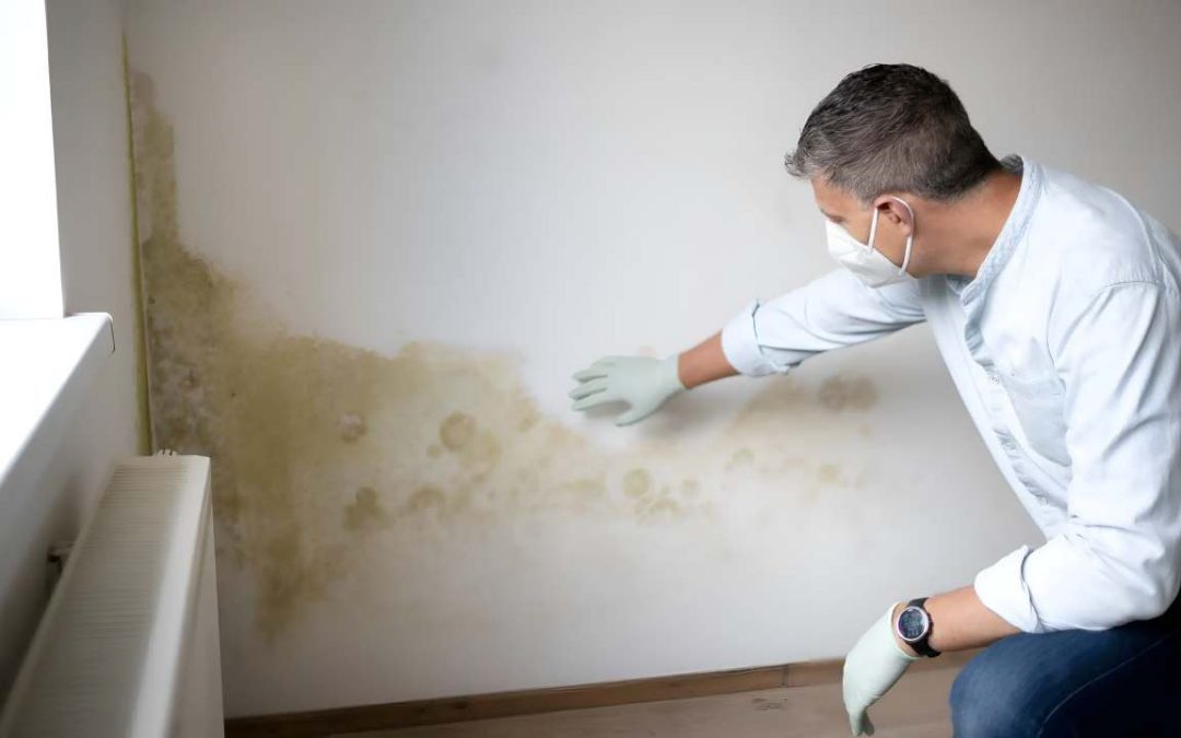 Can I Paint Over Mould?