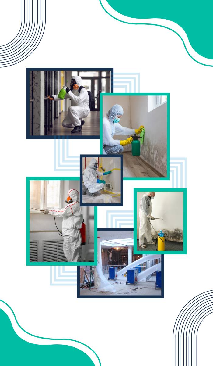 common-signs-of-mould-in-commercial-properties