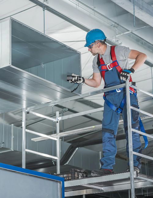 techniques-do-we-employ-for-effective-mould-remediation