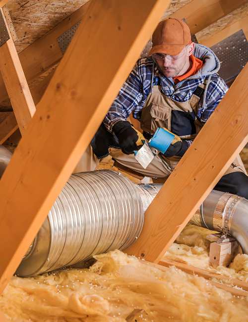 techniques-do-we-employ-for-effective-mould-remediation