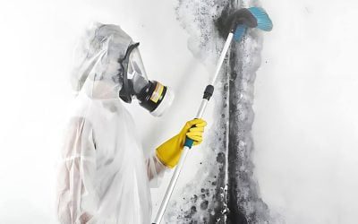 How to Remove Mould From Bathroom Ceiling?