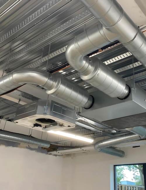 techniques-do-we-employ-for-effective-mould-remediation