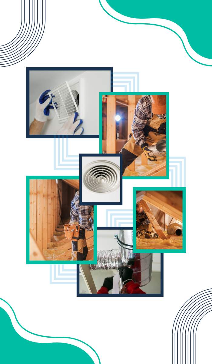 common-signs-of-mould-in-commercial-properties