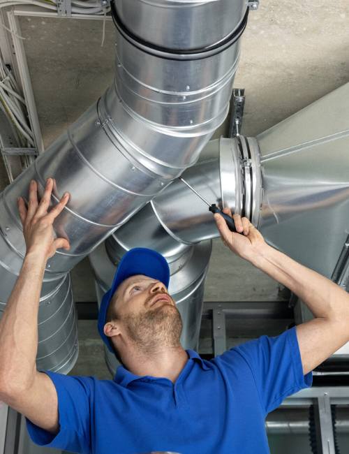 techniques-do-we-employ-for-effective-mould-remediation