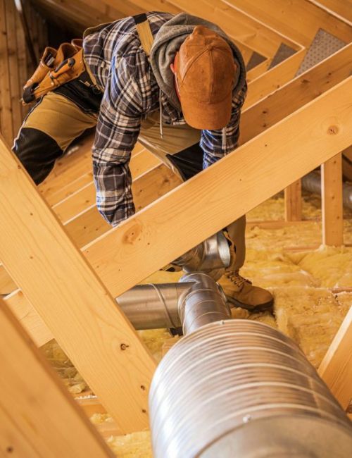 techniques-do-we-employ-for-effective-mould-remediation