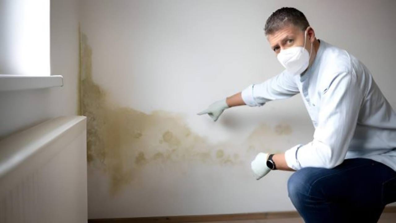 What is the Best Ventilation for Mould?