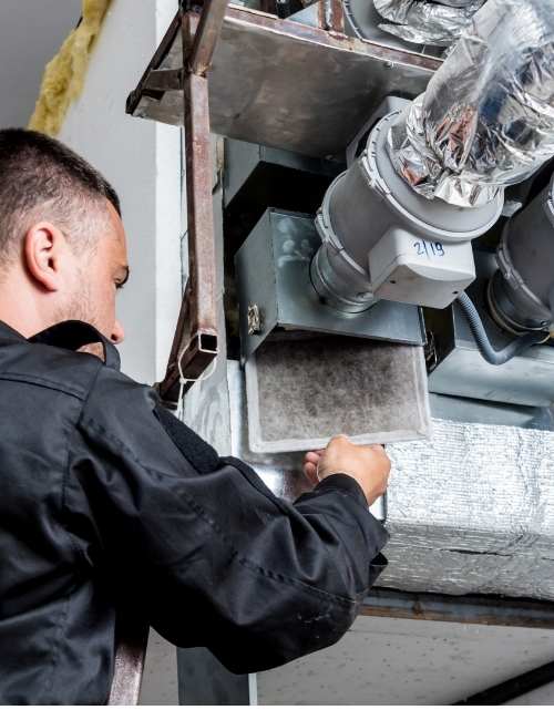 techniques-do-we-employ-for-effective-mould-remediation