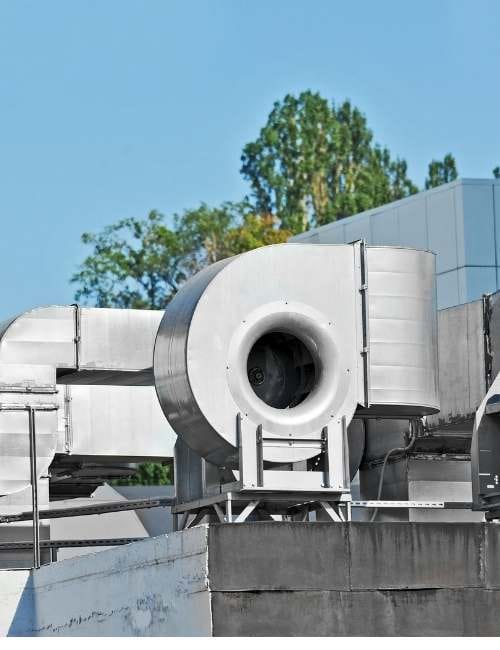 techniques-do-we-employ-for-effective-mould-remediation