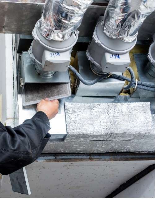 techniques-do-we-employ-for-effective-mould-remediation