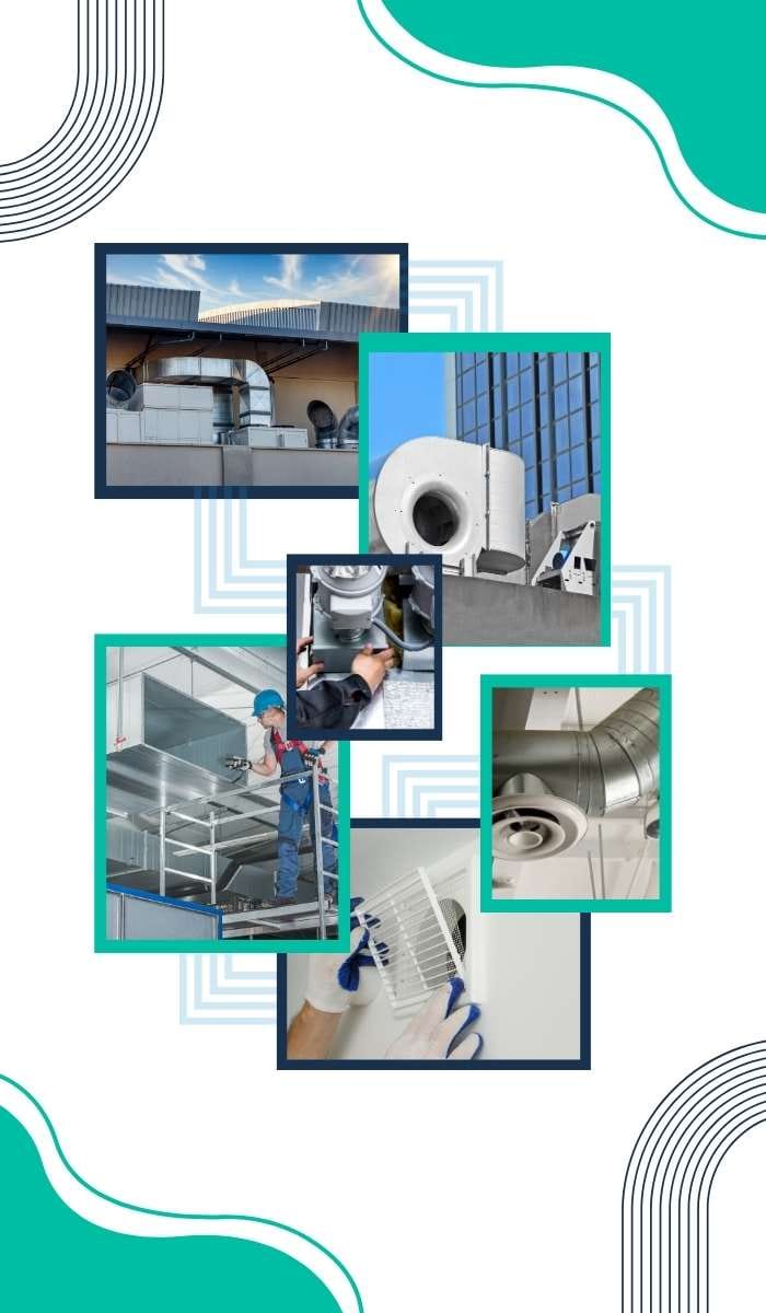 common-signs-of-mould-in-commercial-properties