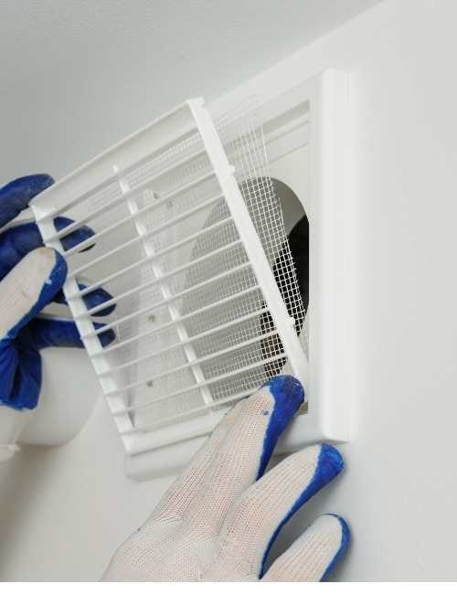 techniques-do-we-employ-for-effective-mould-remediation