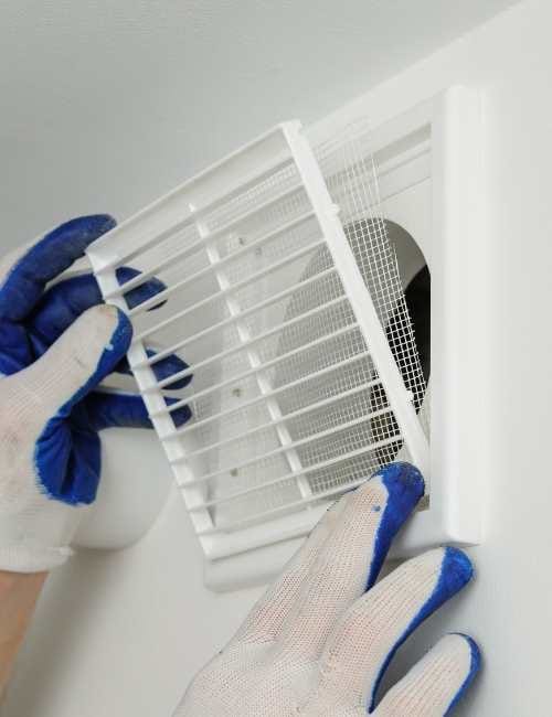 techniques-do-we-employ-for-effective-mould-remediation