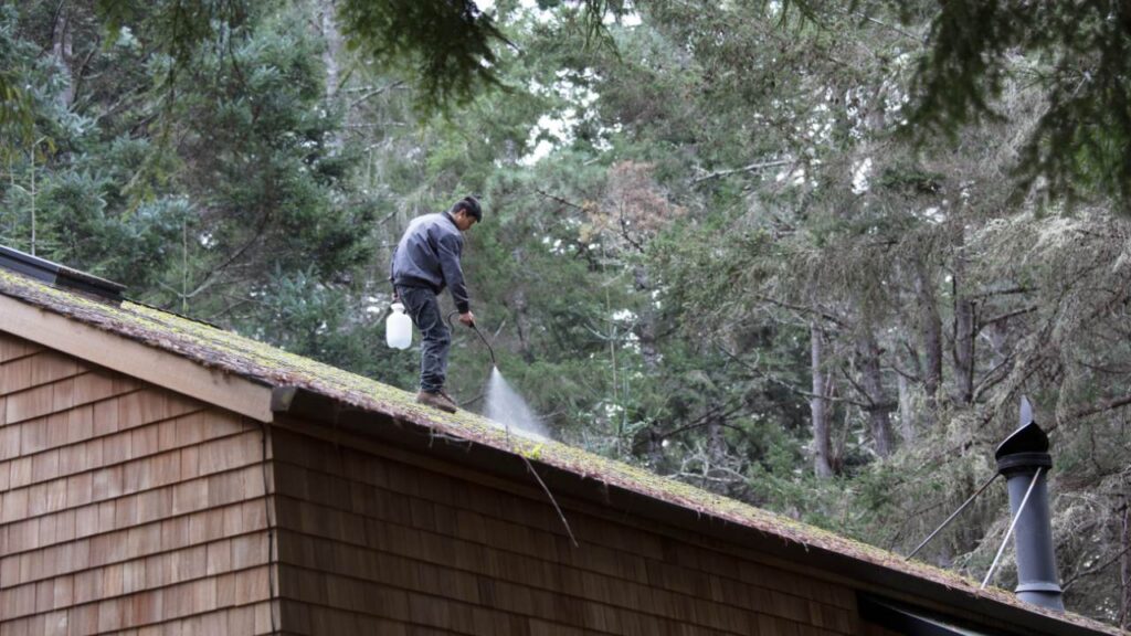 are-chemicals-safe-for-moss-removal-on-roofs