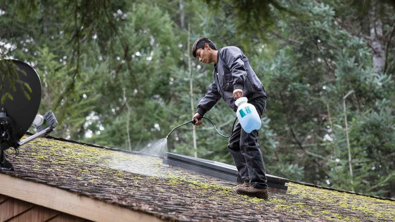 How Long Does a Roof Stay Moss-Free After Treatment?