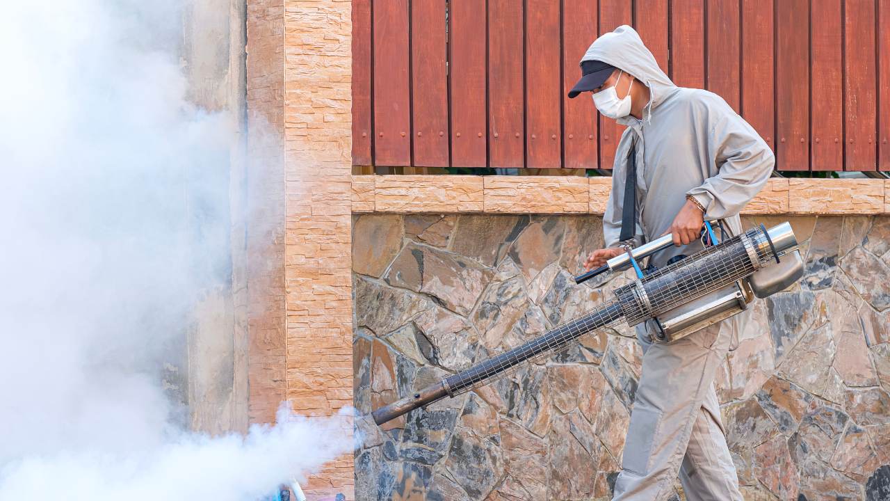 Is It Safe to Use Chemicals for Roof Moss Removal?