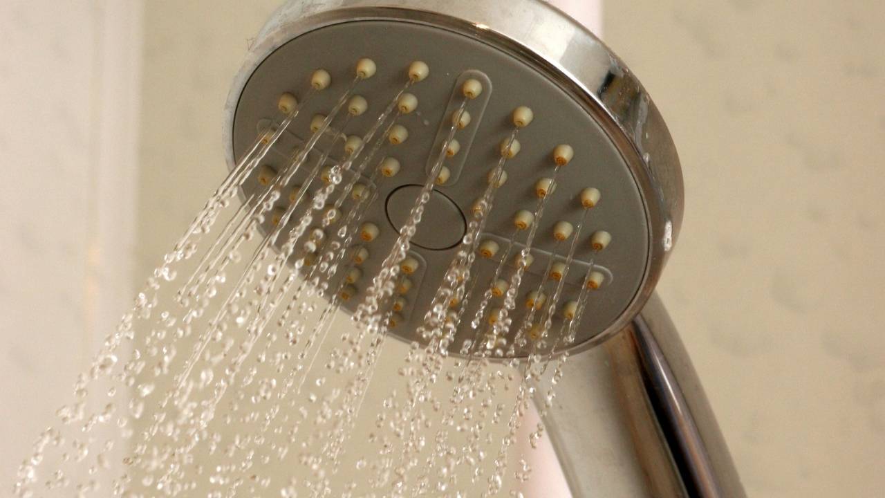 How to Remove Mould from Shower?