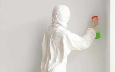 How to Identify and Address Moisture and Mould Indoors?