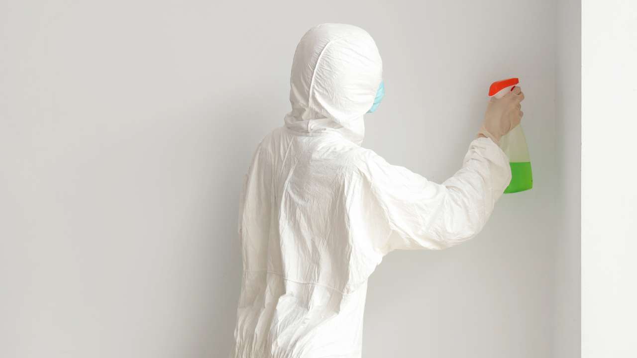 how-to-identify-and-address-moisture-and-mould-indoors